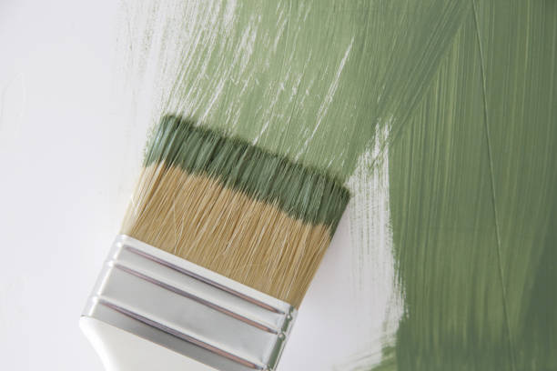 Best Mold Damage Restoration  in Portland, TN