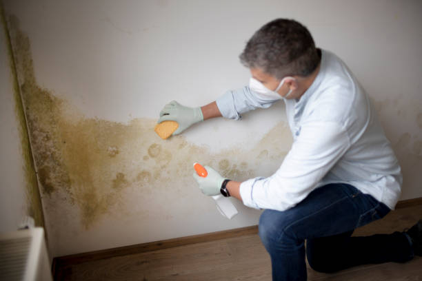Best Post-Remediation Verification Testing  in Portland, TN